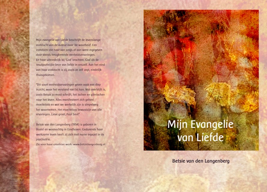 Mijn evangelie van Liefde